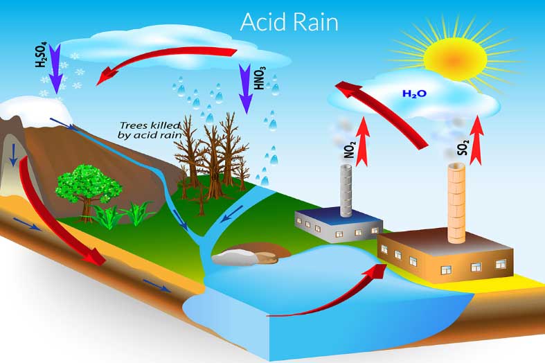 Sketch: Atmospheric pollution - acid rain (2017) by AnimationAndDrawings on  DeviantArt