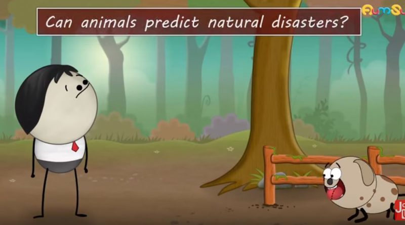 Animals Predict Natural Disasters - Forestrypedia