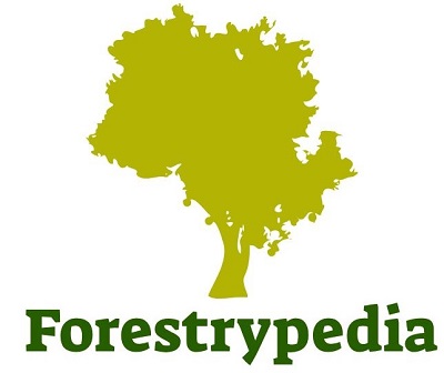 Forestrypedia Important downloads