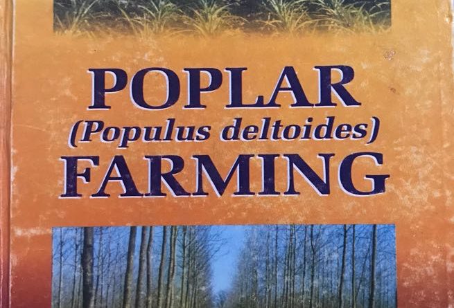 Poplar (Populus deltoides) raising and farming - Forestrypedia