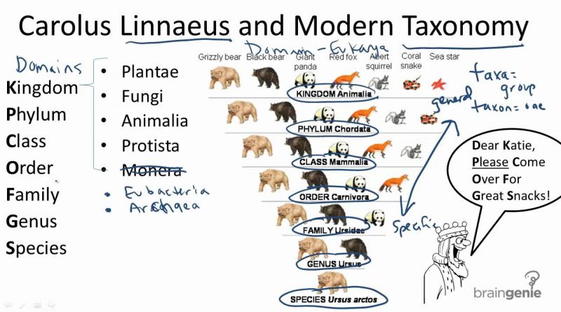 Linnaean System of Classification - Forestrypedia