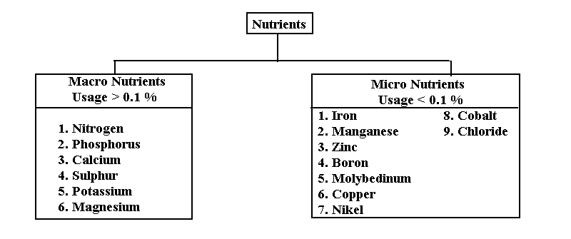 Macro and Micronutrients Essential for the Growth of Plants | Flow Chart - forestrypedia.com