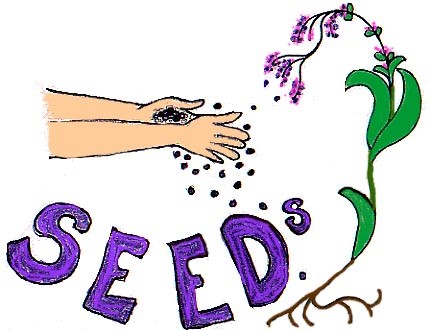 Seed Collection (Seminar) - Forestrypedia