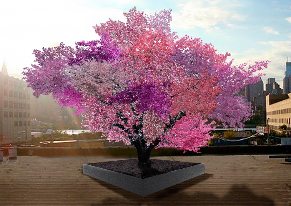 Tree with 40 Fruits - Forestrypedia
