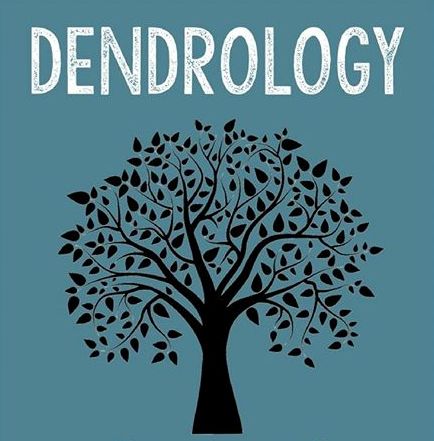 dendrology-study-of-trees - Forestrypedia