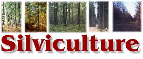 Silviculture Terminologies - Important Silviculture and Biometrics Terminologies - forestrypedia