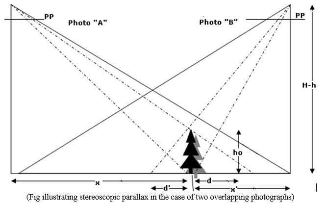 stereoscopic parallax - Forestrypedia