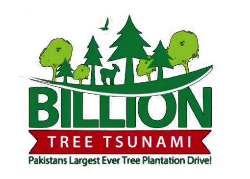 Billion Tree Tsunami Project and Status of Forest Department بلین ٹری پراجیکٹ اور جنگلات کا نظام - forestrypedia.com