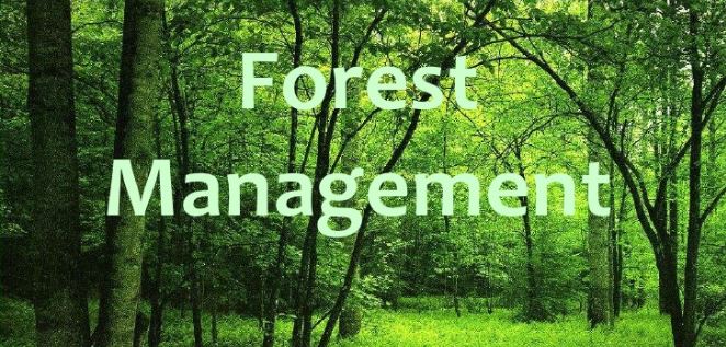 Introduction to Foreset Management and its Scope - Forestrypedia