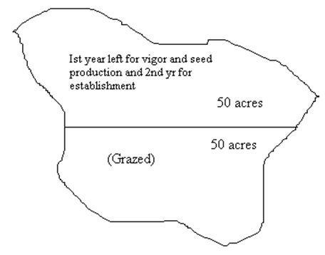 Grazing Systems and Important Grazing Systems - Forestrypedia