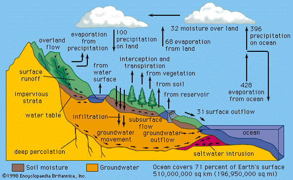 The Hydrological Cycle 2 - Forestrypedia