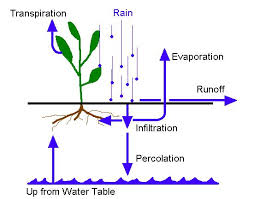 Infiltration and Percolation - Forestrypedia