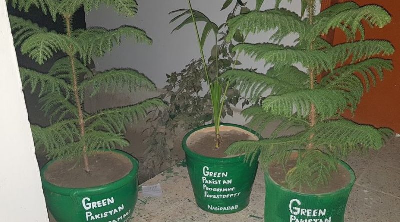 Methods of Planting - Green Pakistan Programme - Forestrypedia