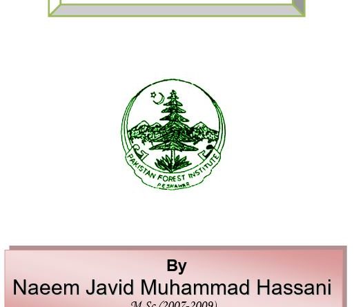 Resource Economics Notes by Naeem Javid Muhammad Hassani - Forestrypedia