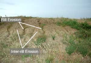 Rill Erosion - Forestrypedia