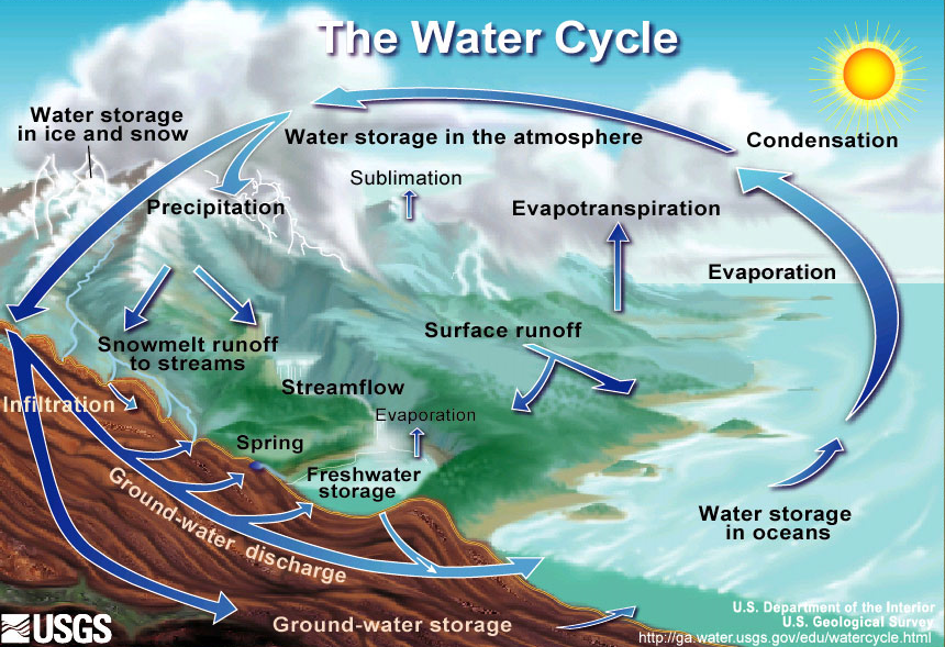Water Cycle - Forestrypedia