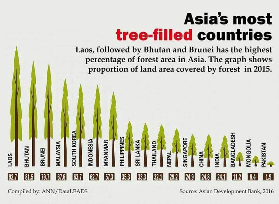 Highest Forest Cover Asia - Forestrypedia