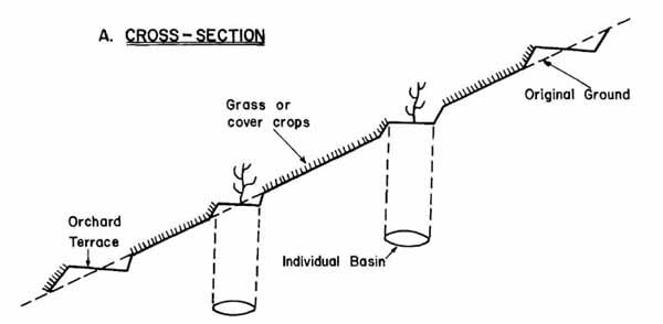 Soil Conservation - Hillside Ditches - Forestrypedia