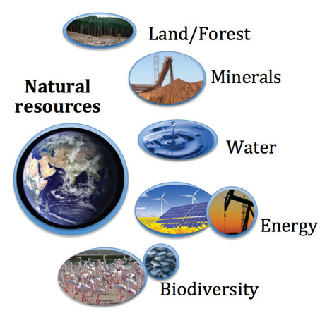 Importance of Environmental Economics - Forestrypedia