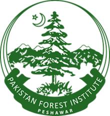 Forest Products and Timber Technology Notes by Naeem Javid Muhammad Hassani