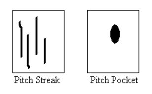 Pitch Defects - Wood Defects