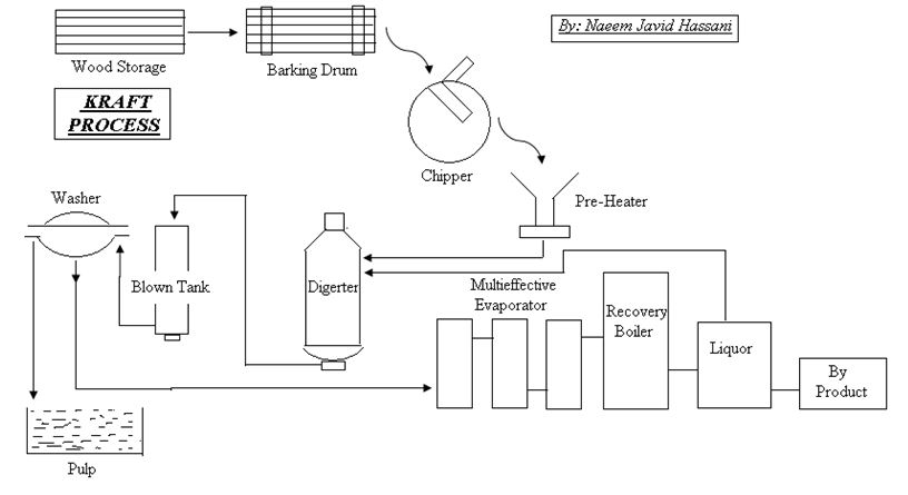 Pulp and Paper - Kraft Process1