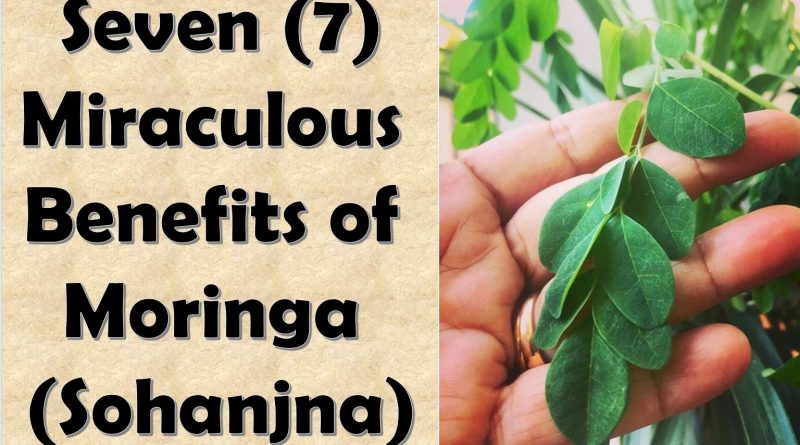 7 Miraculous Benefits of Moringa (Sohanjna)