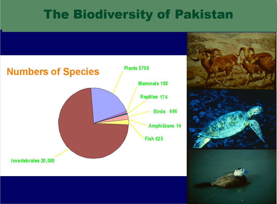 Biodiversity of Pakistan