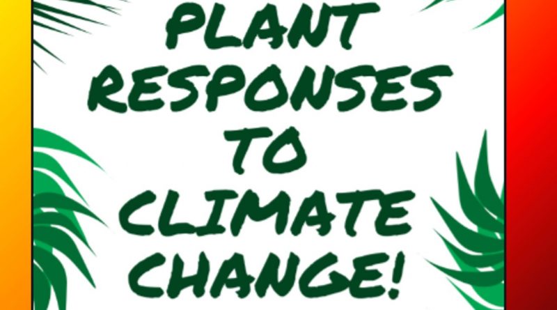 Plants Response to Climate Change