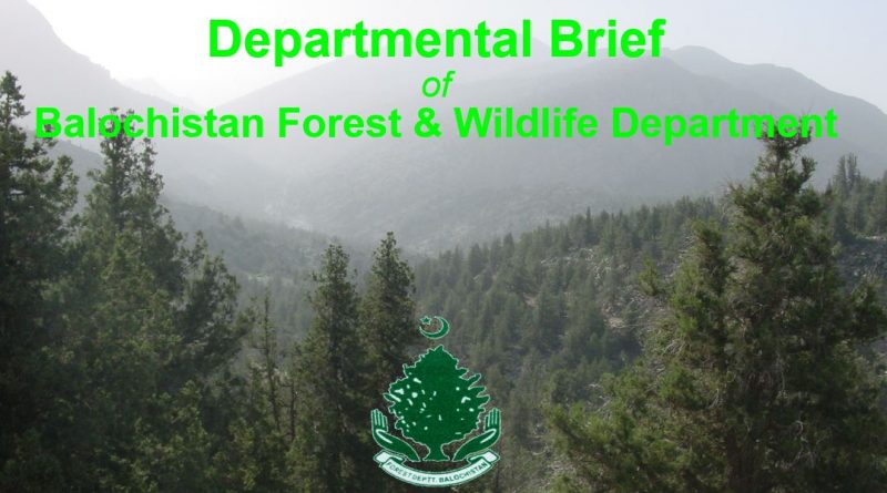 Balochistan Forest & Wildlife Department (Departmental Brief)