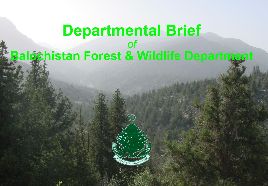 Balochistan Forest & Wildlife Department (Departmental Brief)