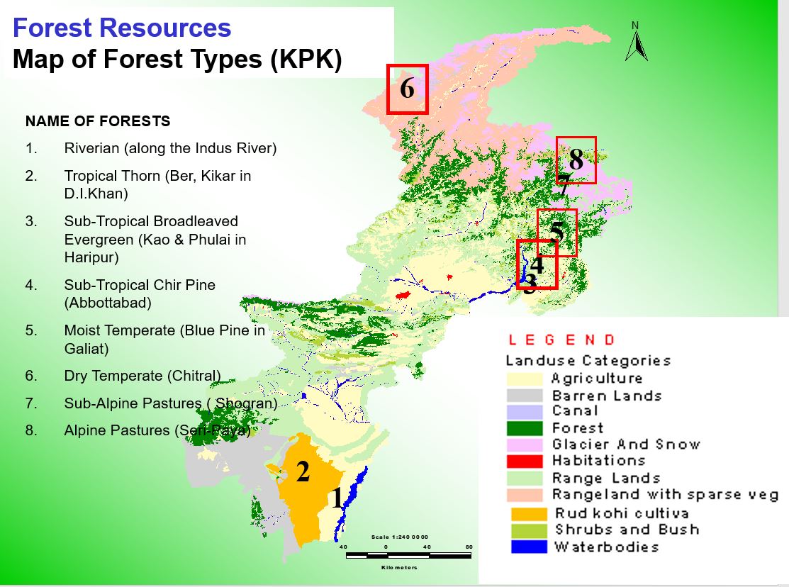 Khyber Pakhtunkhwa (KPK) Forest Department (Briefing)