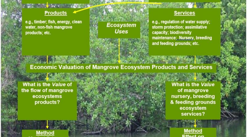 Ecological Value of Mangrove Ecosystem