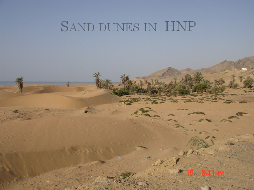 Sand Dunes in Hingol National Park