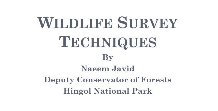 Wildlife Survey Techniques (Powerpoint Presentation)