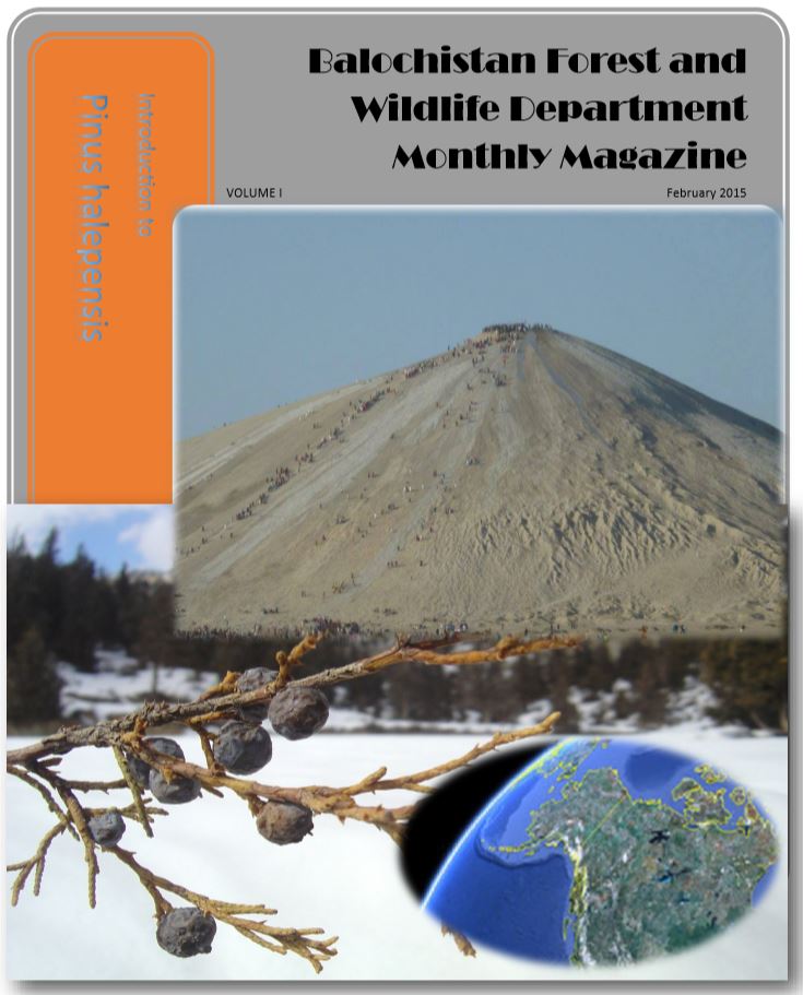Balochistan Forest and Wildlife Department Monthly Magazine - February 2015