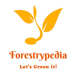 Forestrypedia
