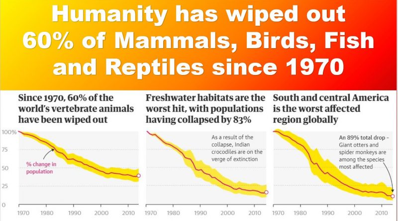 Humanity has wiped out 60% of Animal Population
