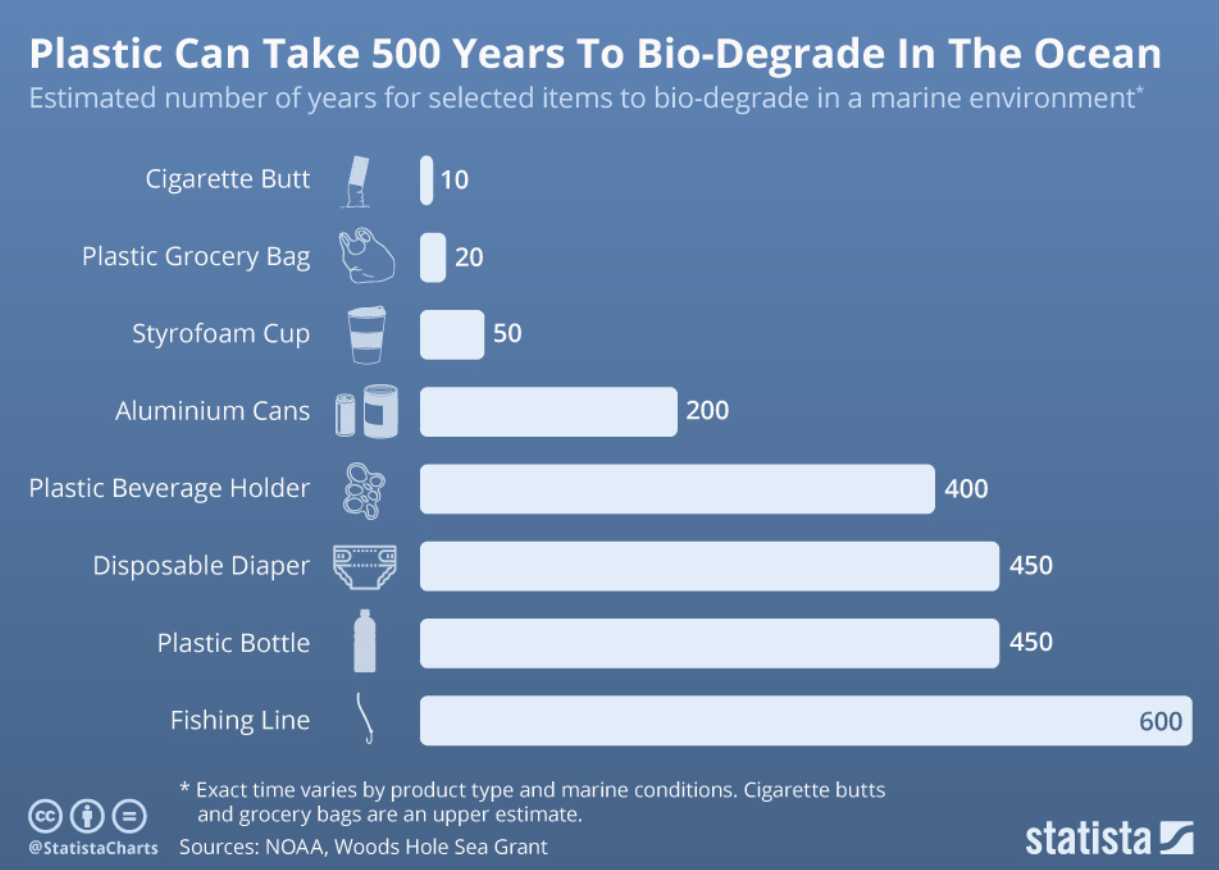 Plastic bottles takes 500 Years to decompose - Forestrypedia