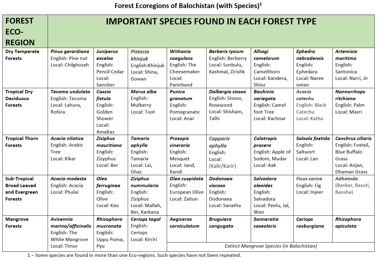 Forest Ecoregions of Balochistan (with Species)
