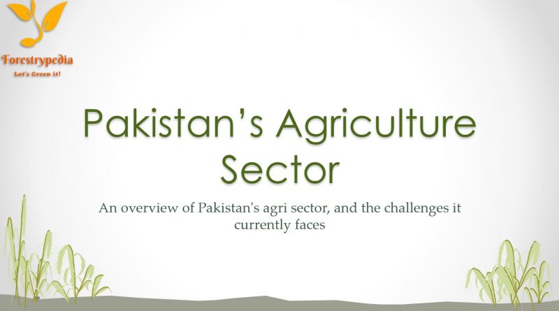 Pakistan’s Agriculture Sector - Challenges & Prospects (Powerpoint Presentation)