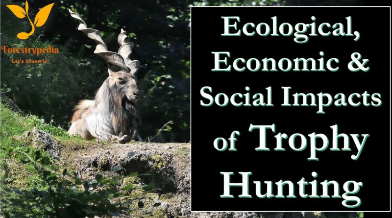 Ecological and Economic Effects of Trophy Hunting - Forestrypedia