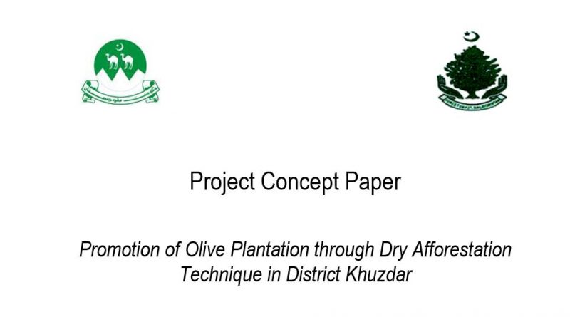 Promotion of Olive Plantation through Dry Afforestation Technique in District Khuzdar (Project Concept Paper) - Forestrypedia