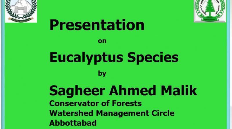 Presentation on Eucalyptus Species - Forestrypedia