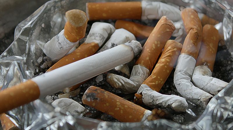 Cigarette Butts are The Most Littered Item in the World - Forestrypedia