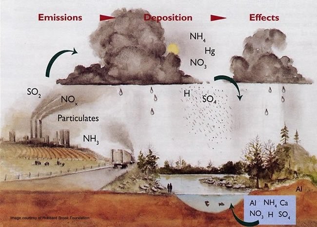 Acid Rain - Formation, Effects and Control Measure - Forestrypedia
