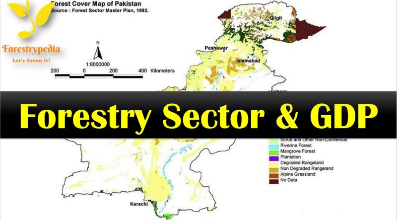 Pakistan’s Forestry Sector Contribution to the Economy is the Lowest in the Region - Forestrypedia
