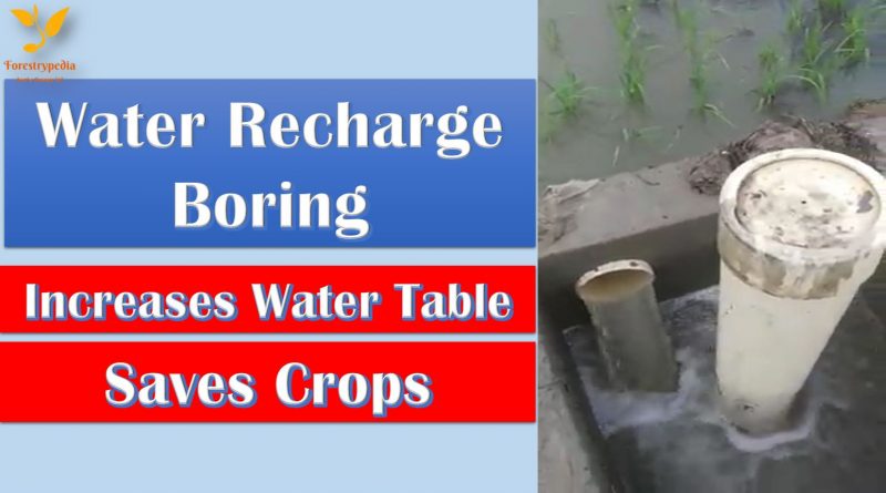 Water Recharge Boring - Saving Crops and Increasing Water Table - forestrypedia.com