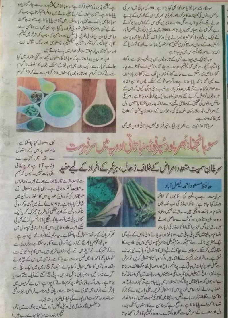 Moringa (Sohanjna) - The Superfood (Urdu Featured Article) - forestrypedia.com