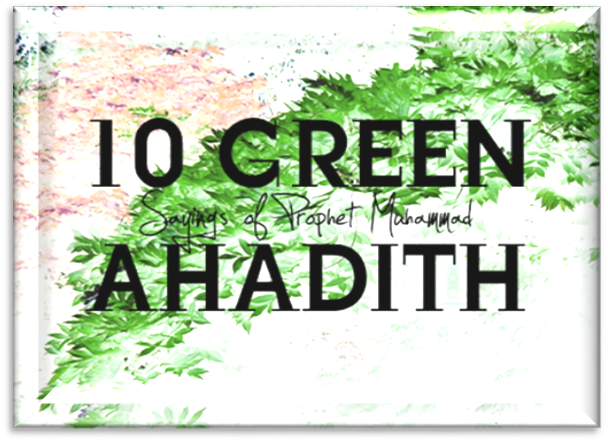 10 Green Ahadith درخت لگانے کے بارے میں دس احادیث - forestrypedia.com